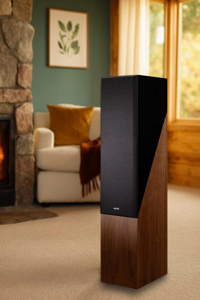 mise en situation the pledge NOYER cache